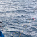 dscn1789_390274126_o.jpg